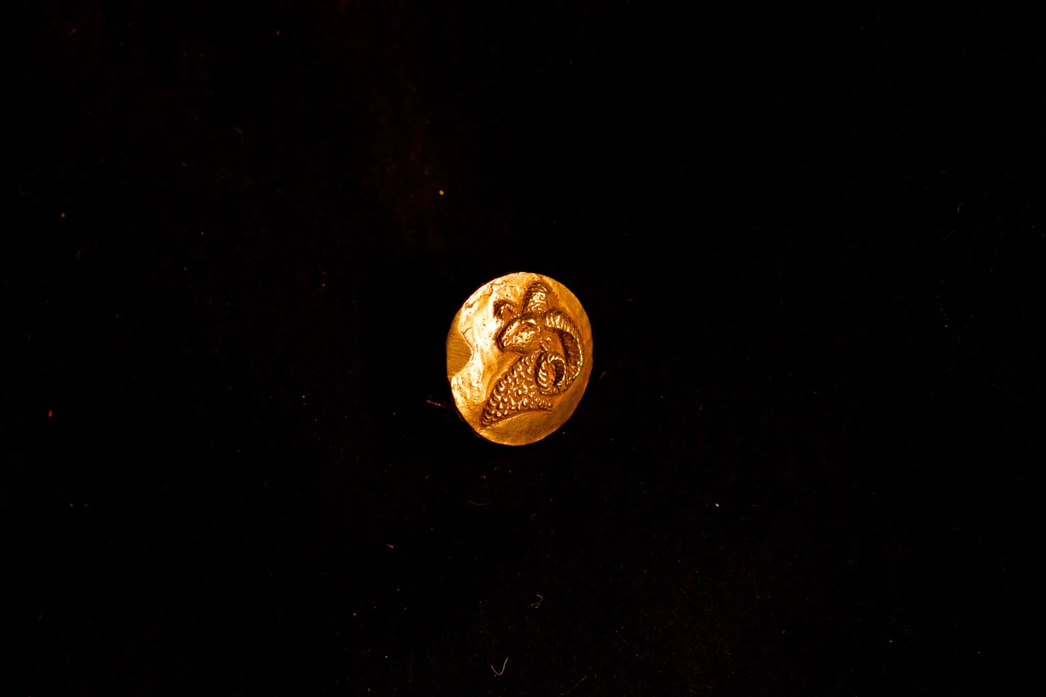 SCA Glenn Abhan Kingdom Mount - Ram - K-19