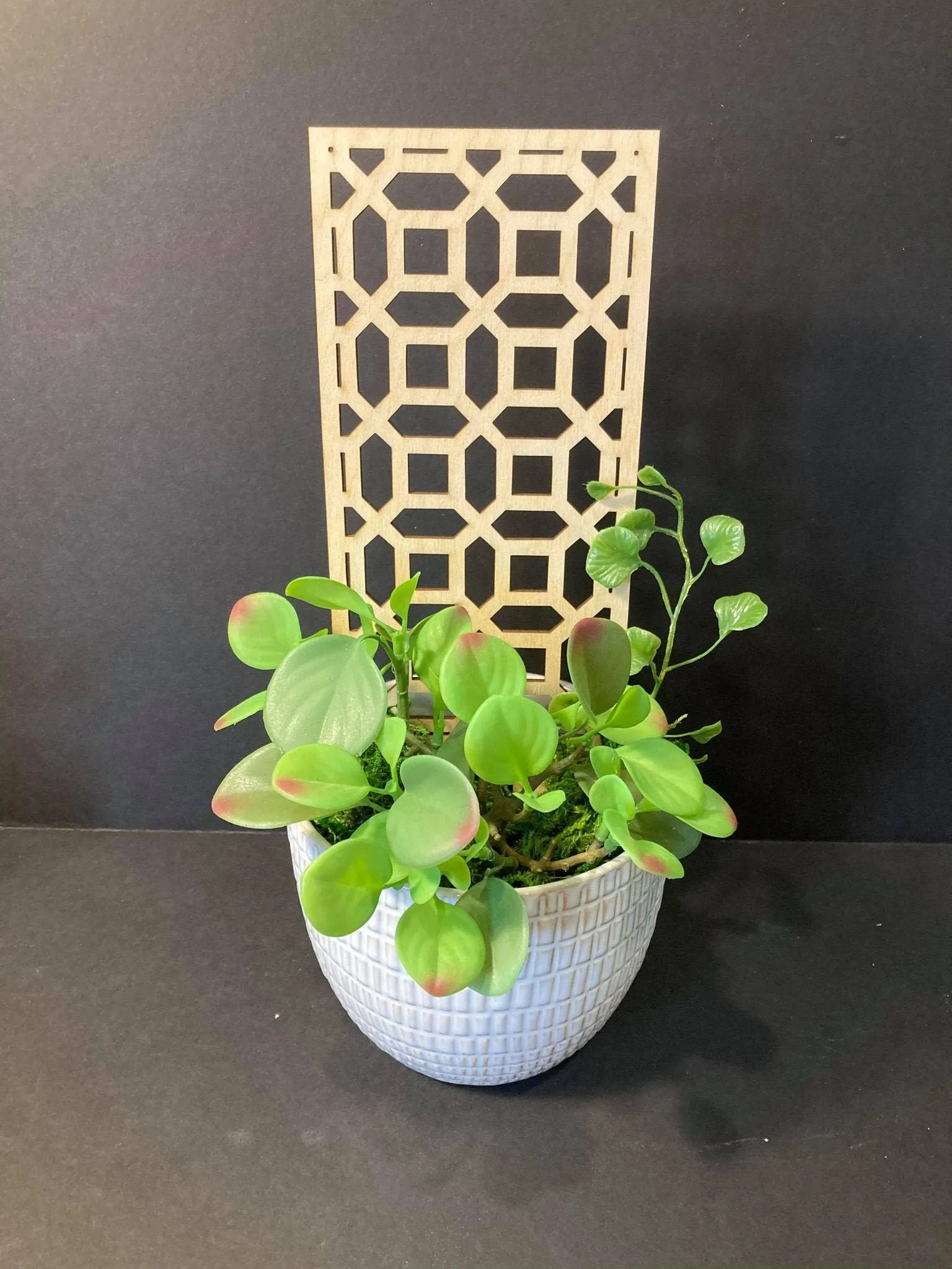 Square Octagon | 1/4 Thick   | Support Beautiful Trellis  |  Plant Trellis | FAST SHIPPING |  Houseplant Trellis |  | Insured Shipping