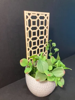 Square Octagon | 1/4 Thick   | Support Beautiful Trellis  |  Plant Trellis | FAST SHIPPING |  Houseplant Trellis |  | Insured Shipping